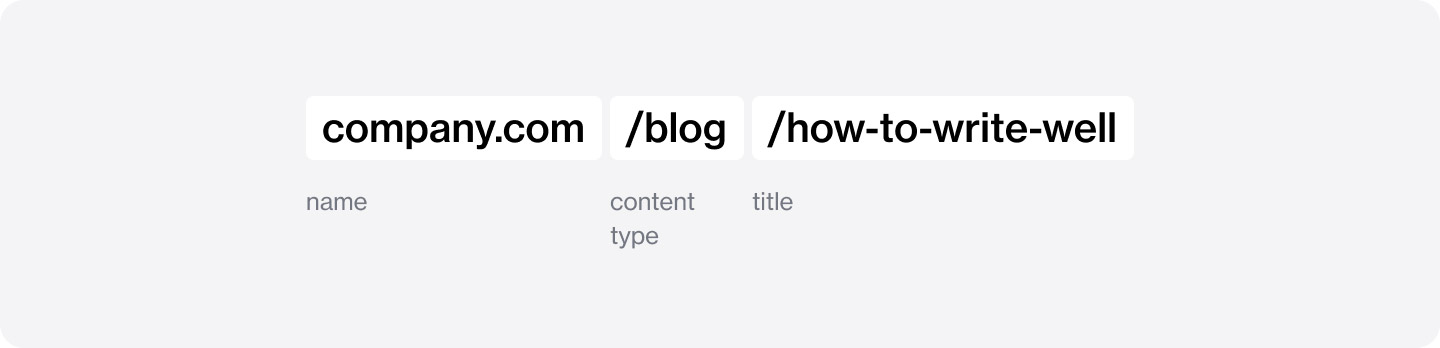 A simple proposed anatomy